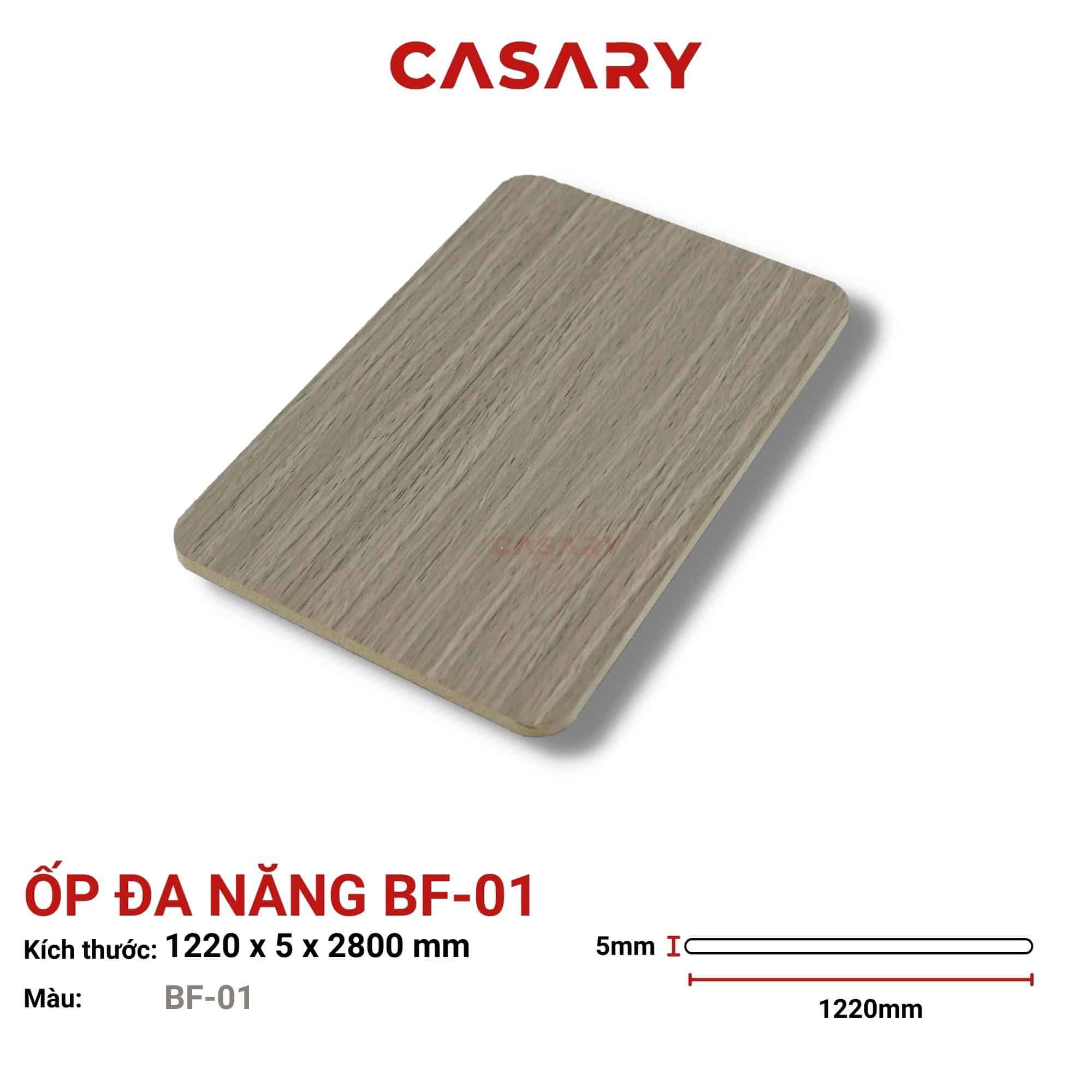 tam-op-da-nang-casary-bf-01(1) tam op da nang casary bf 011