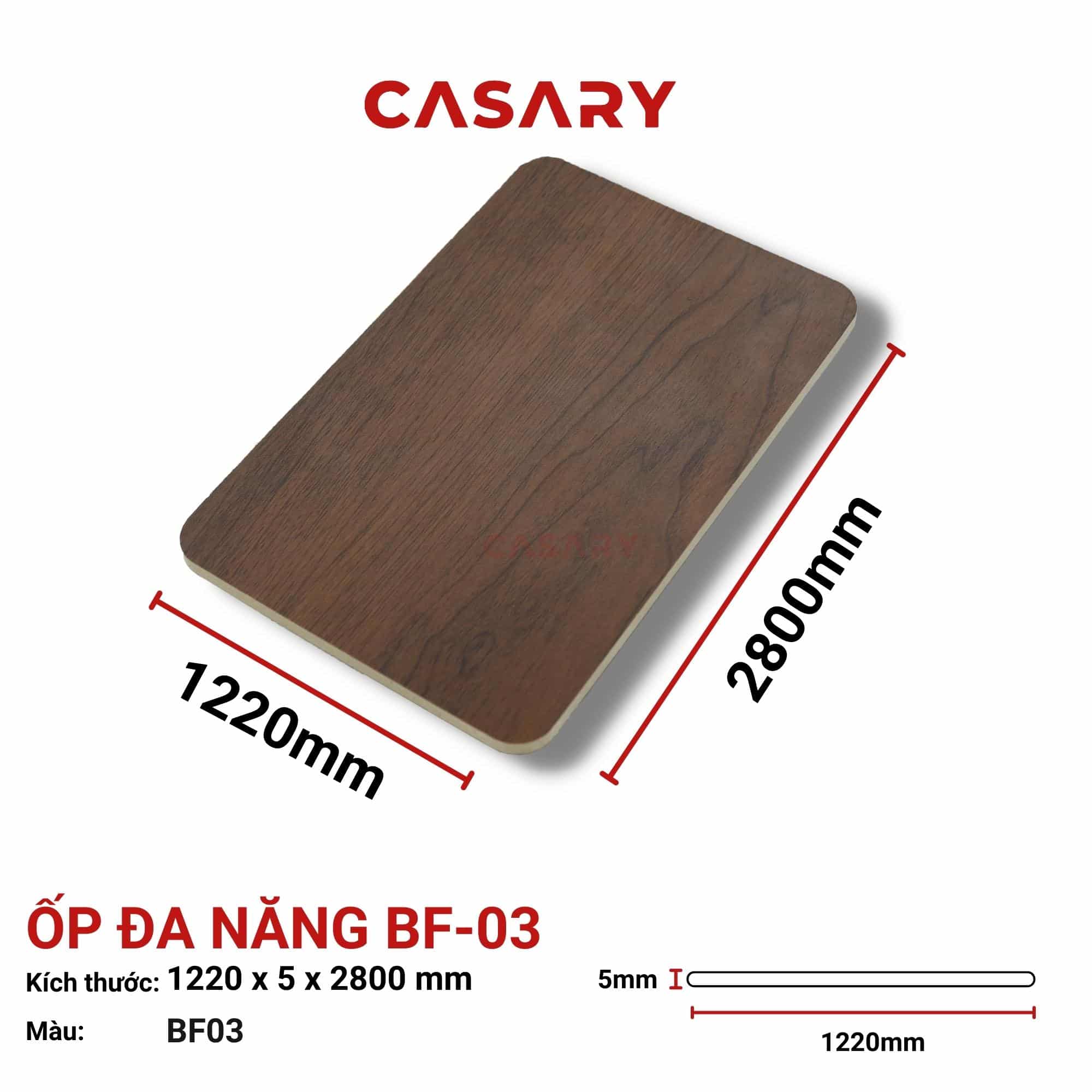 tam-op-da-nang-casary-bf-03 (3) tam op da nang casary bf 03 3